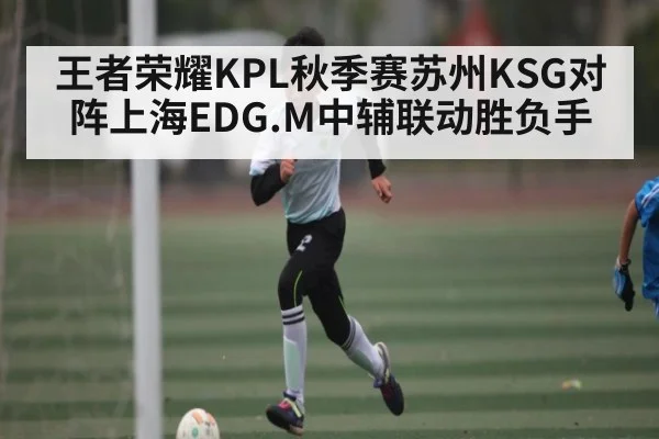 王者荣耀KPL秋季赛苏州KSG对阵上海EDG.M中辅联动胜负手